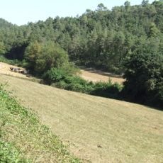 Quintana de Cal Fantasia