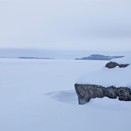 Höytiäinen