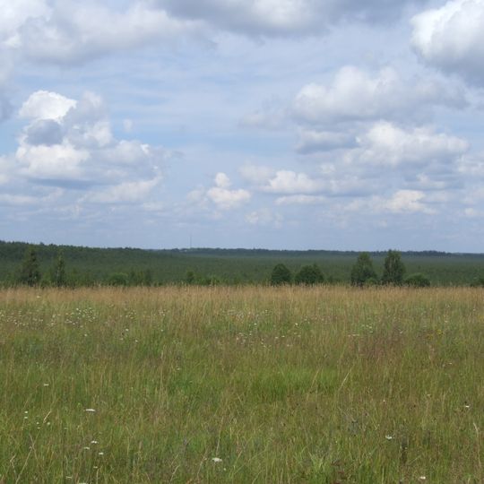 Gulbju un Platpirovas purvs