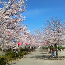 West Morofuku Park