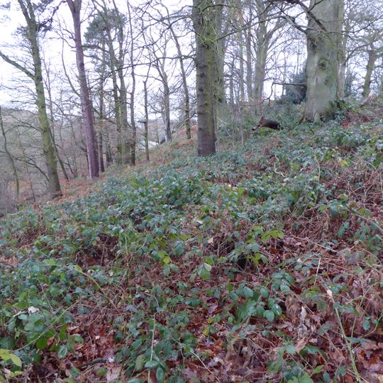 One Barrow Plantation