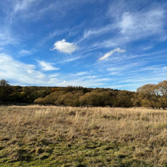 Rokycany - vojenské cvičiště