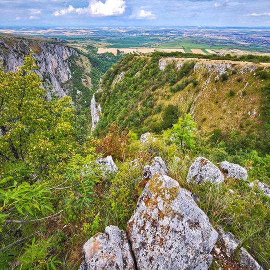 Punto di vista panoramico