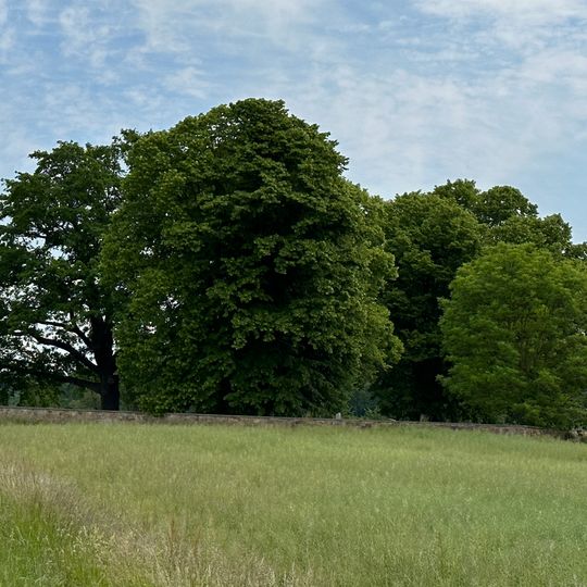 Sachgesamtheit Friedhof Gnandstein, mit den Einzeldenkmalen: Leichenhalle und Friedhofstor sowie mit dem Sachgesamtheitsteil: Einfriedungsmauer sowie gärtnerisch gestaltete Friedhofsanlage