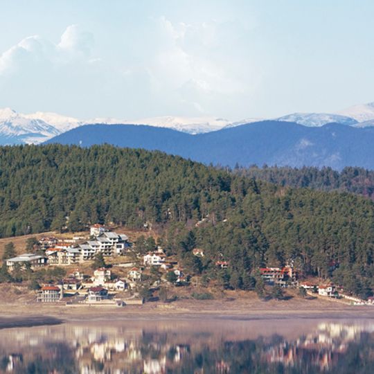 Tsigov Chark
