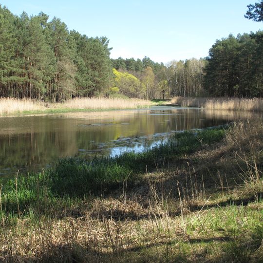 Schwenower Forst Ergänzung
