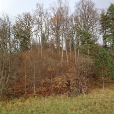 Pļaviņu pilskalns