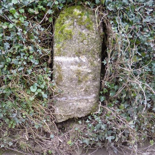 Milestone, Moreleigh, Place Barton Farm, S side of first fork in village