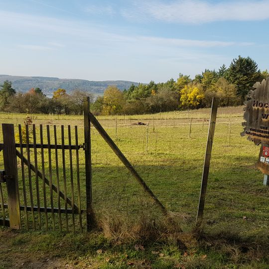 Wedding Forest Tauberbischofsheim