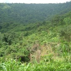 Krokosua Hills Forest Reserve