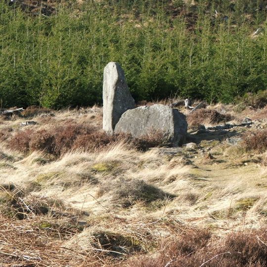 Whitehill Wood, Aberdeenshire