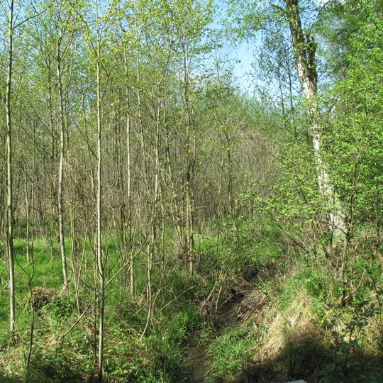 Prameniště Blatovského potoka