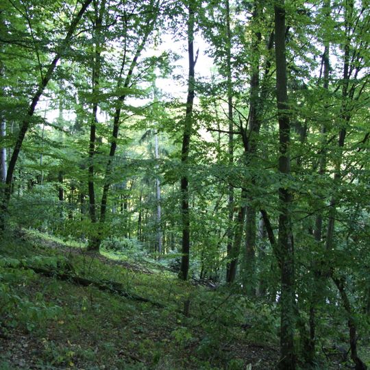 Dědovické stráně