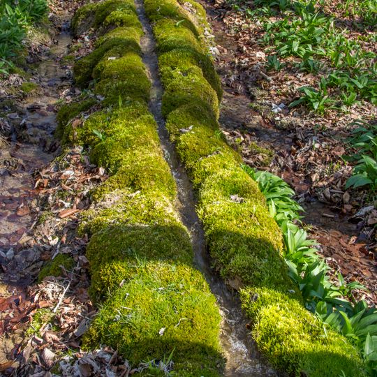 Käsrinne bei Heidenheim