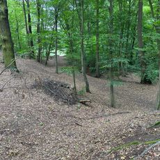 Oberer Zeisigbusch Rödern