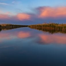 Pribalkhash State Nature Sanctuary (complex)