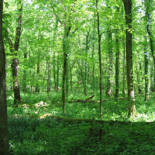 Otter Creek Outdoor Recreation Area