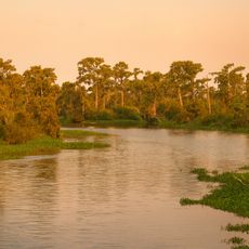 Lake Maurepas