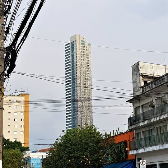 Figueira Altos do Tatuapé