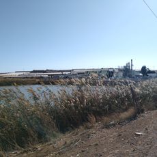 Cañada de Las Norias