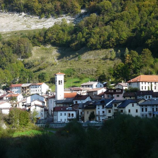 Timau