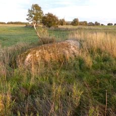 Findling Neu Dargelin