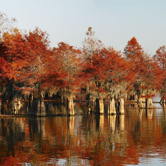 Santee National Wildlife Refuge