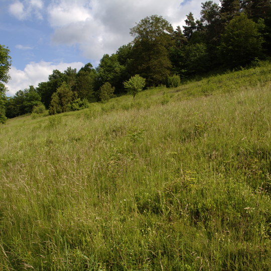Magerrasen bei Lauterbach und Kalkberge bei Schwarz