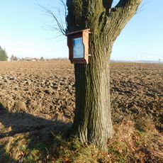 Obrázek Panny Marie na křižovatce jižně od Lípy