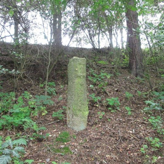 Křížový kámen západně od Záluží