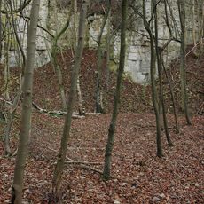 Knap House Quarry, Birdlip