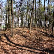 Grabhügel Krippelberg