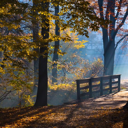 Park pałacowy w Pszczynie