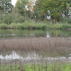 Böttcher Moor