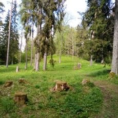 Kurista linnamägi