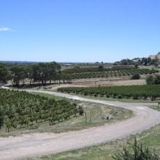 Barossa Vadisi