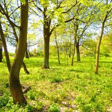 Kościół św. Anny w Toruniu