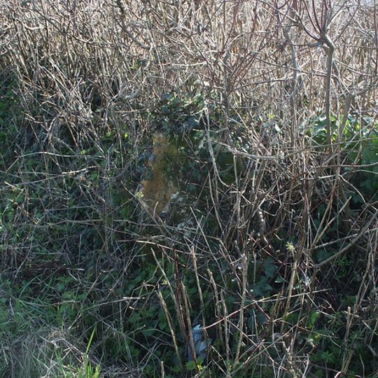 Milestone At Ngr St 3955 1229