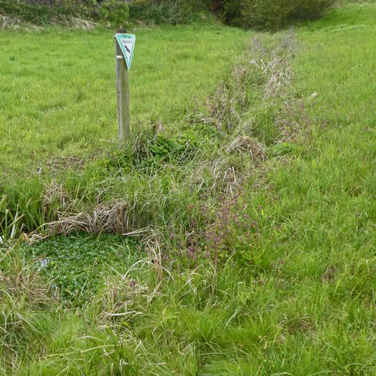 Naßwiese Diebshalde