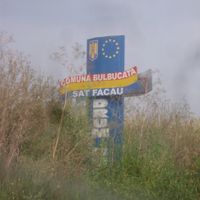 Bulbucata