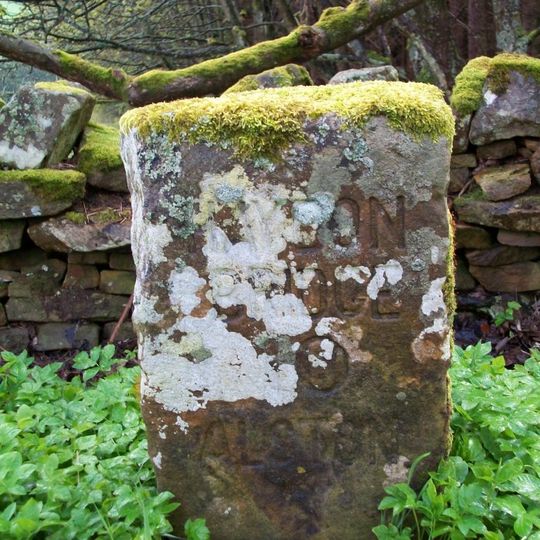 Milestone, Whitfield Moor, S of Parmently Cottage,  beside Whinneysike Plantation