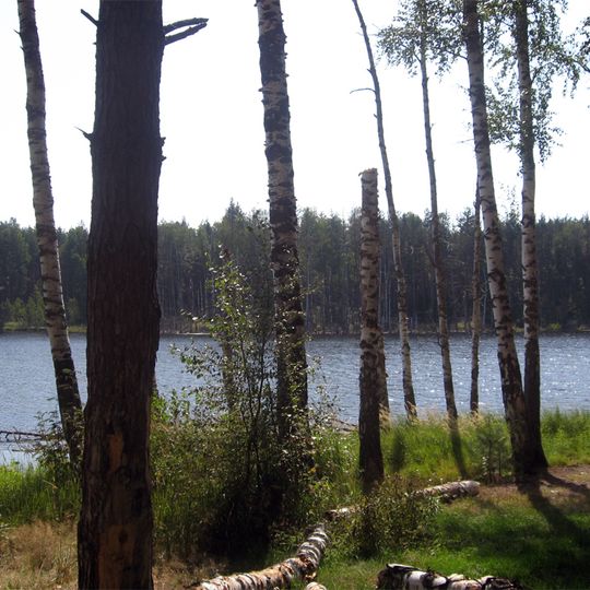 Schepachikhinskoe lake