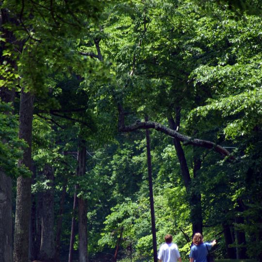 Fort Ancient Erdwerk