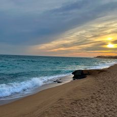 Zona dunar protegida (Reseda hookeri)