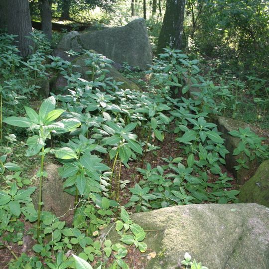 Holzhauser Kellersteine