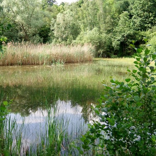 Weilbacher Kiesgruben