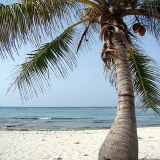 Praia Paamul