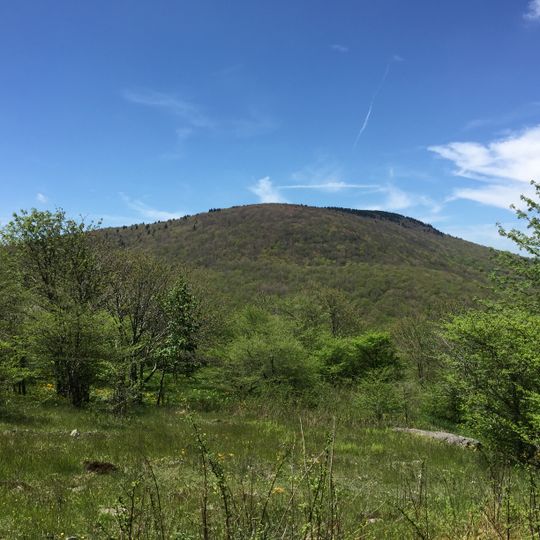 Whitetop Mountain