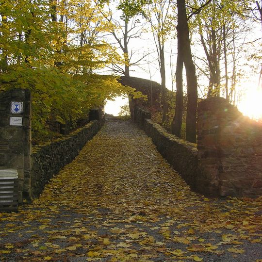 Burgruine Reichenfels