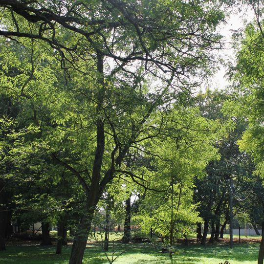 Park in Krotoszyn
